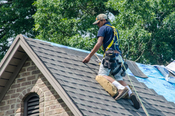 Professional Roofing Contractor in Trinidad, CO